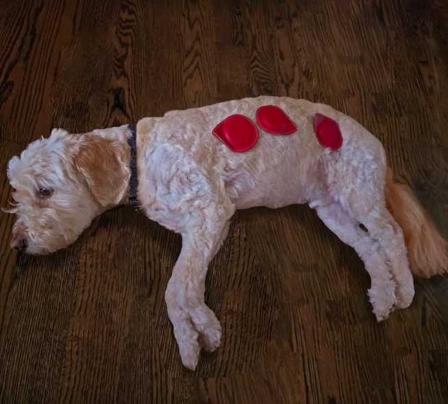 Coaching Espiritual Personalizado