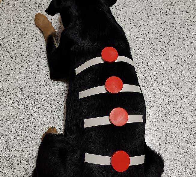 Coaching Espiritual Personalizado